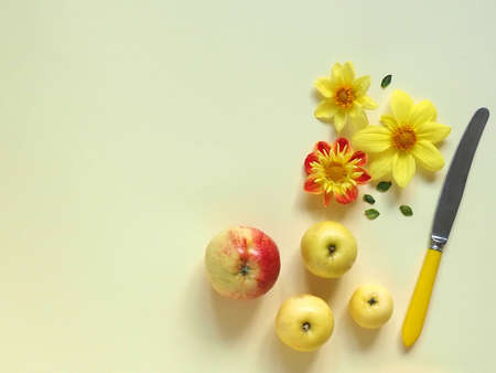 Bouquet of flowers, yellow thread, yellow knife and yellow apples on a yellow background. Garden concept.の写真素材