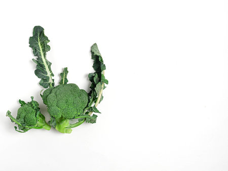 Fresh broccoli on white table background. top view.の写真素材