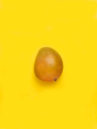 Mango on a yellow background.の写真素材