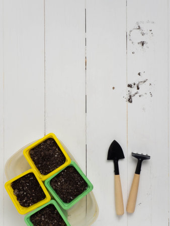Concept of a garden and vegetable garden in an apartment. Copy space. Flat lay.