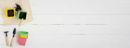 Concept of a garden and vegetable garden in an apartment. Copy space. Flat lay.の写真素材