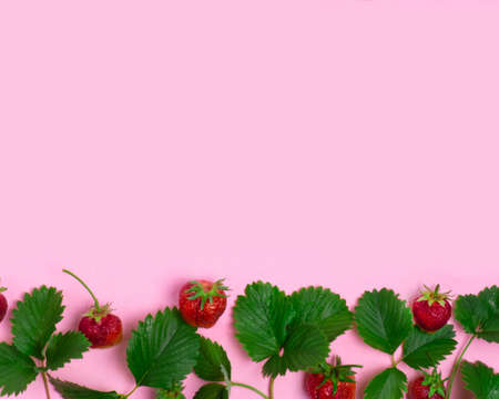 Pattern of strawberries and strawberry leavesの写真素材