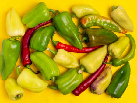Sweet and hot pepper on a yellow background. A large number of peppers in the pile.の写真素材