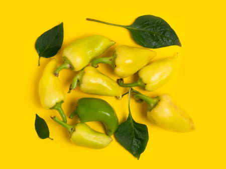 The concept of seasonal Apple baking. Ingredients for Apple pie on the yellow table.の写真素材