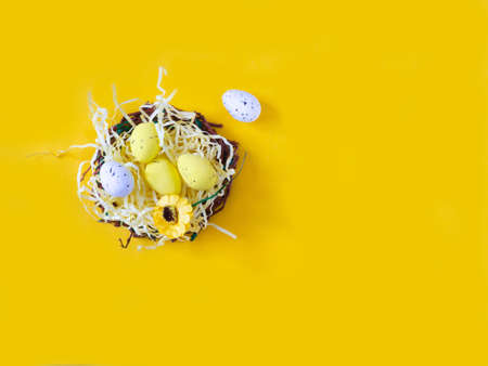 Painted Easter eggs in a nest on a yellow backgroundの写真素材