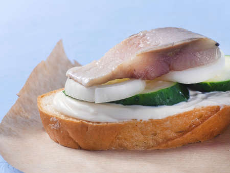 Bread with cheese, herring, and onions.の写真素材
