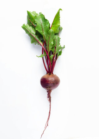 Single beetroot isolated on white backgroundの写真素材