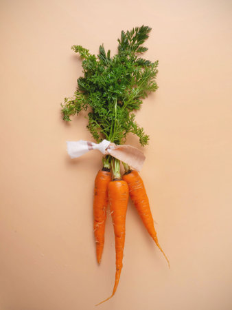 Carrots on a beige backgroundの写真素材