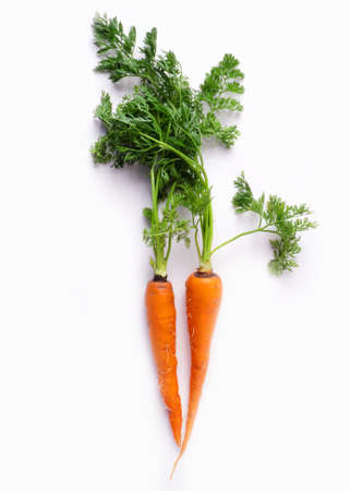 Carrots on a white backgroundの写真素材