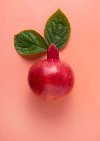 Garnet on a pink background.の写真素材
