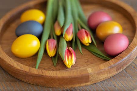 six bright colored eggs and tulips on a wooden backgroundの写真素材