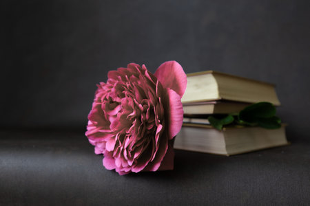 A closed book with a peony as a bookmark lies on a dark background