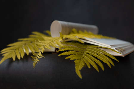 Yellow fern leaf as a bookmark for an interesting bookの写真素材