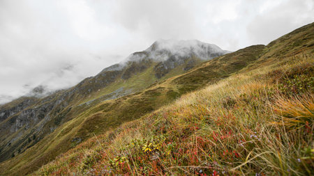 Autumn bright red grass slope on a rainy day in the Austrian Alps. Austria, Salzburg, Gastein Valleyの写真素材