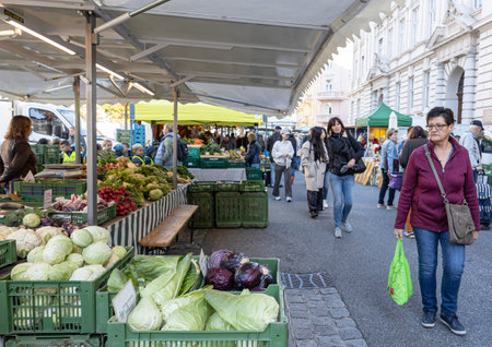 AUSTRIA, SALZBURG - OCTOBER 13, 2022: visitors to the food market at Mirabell squareのeditorial素材