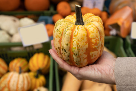 A womans hand holds a bright small pumpkin against the background of vegetable boxes, an Austrian street marketの写真素材