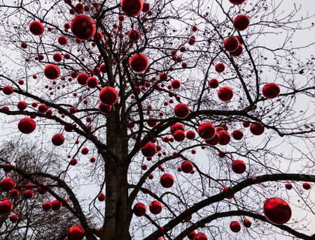Winter tree decorated with big bright red ballsの写真素材