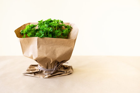 A bouquet of parsley in an eco-friendly package stands against the background of natural color, the concept of springの写真素材