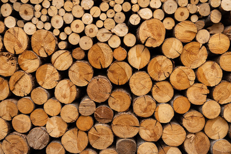 Small and medium-sized logs are stacked for winter useの写真素材