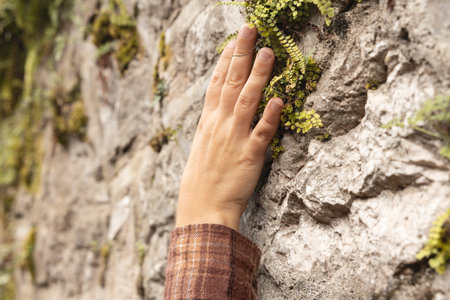 A womans hand rests on a textured stone city with living plants, an environmental protection conceptの写真素材