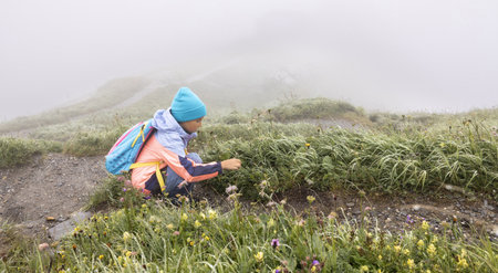 A girl in bright clothes and with a backpack walks along wet paths in the fog and looks at the plantsの写真素材