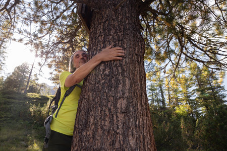 A man with a backpack stands, hugging a tree, in the backlit sunlight of the evening, Austriaの写真素材