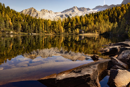Picturesque autumn landscape on Reed See lake with mirror reflection, Austriaの写真素材