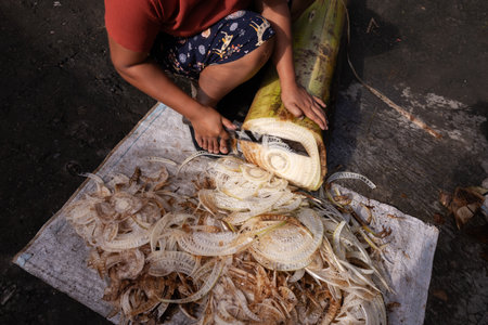 INDONESIA, BALI - FEBRUARY 11, 2024: Indonesian woman cutting banana trunk for cookingのeditorial素材