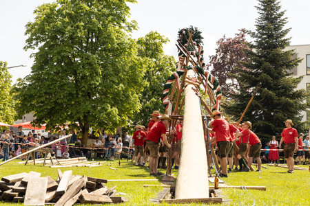 AUSTRIA, SALZBURG - 7 MAI, 2023: men raising a maypole with a wreath in the grounds of Stieglのeditorial素材