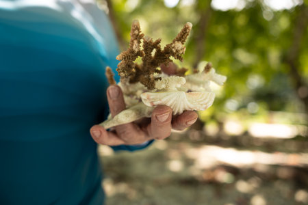 Large corals in womens hands against bright summer lightの写真素材