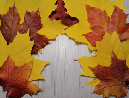 Autumn leaves on a light wooden background