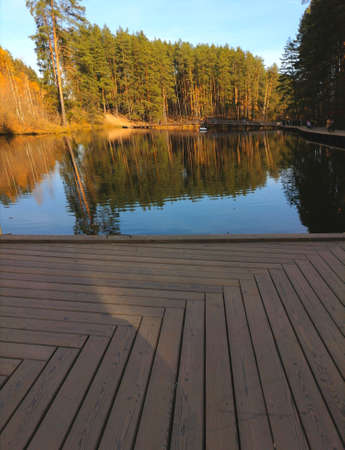Wooden bridge on a lake in the forestの写真素材