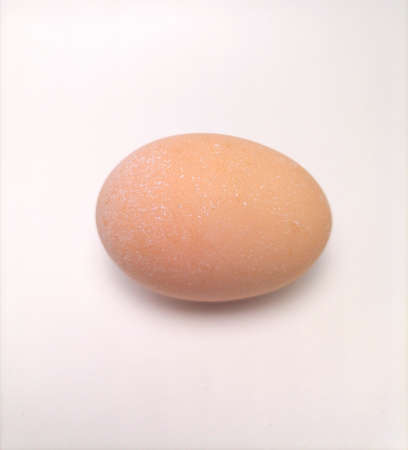 Egg on white backgroundの写真素材