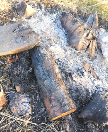 Extinguished fire, firewood, ashの写真素材