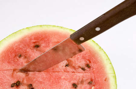 Watermelonの写真素材
