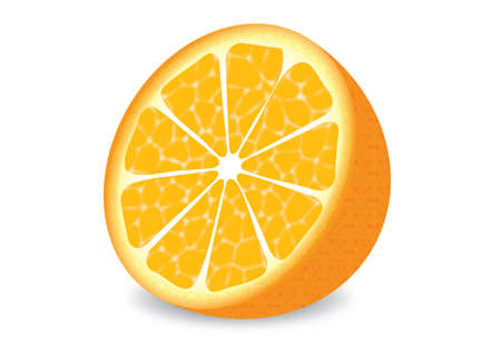 Orange. A vector illustration. Isolated on a white background.の写真素材
