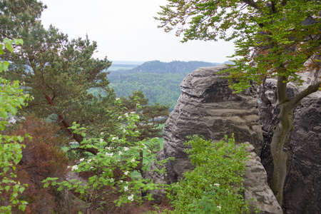 Saxon Switzerland National Park. Is a National Park in the German Free State of Saxony, near the Saxon capital Dresden.の写真素材