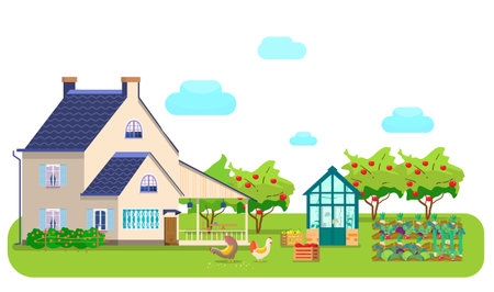 Vector illustration of countryside scene. Country house, greenhouse, chikens pecking grain, wooden boxes with vegetables, vegetable garden, apple orchard, greengrossery.のイラスト素材