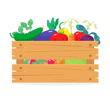Vector illustration of wooden box with different vegetables. Cabbage, carrots, cucumbers, eggplant, radish, tomatoes, potatoes, leek, beet. harvest.のイラスト素材
