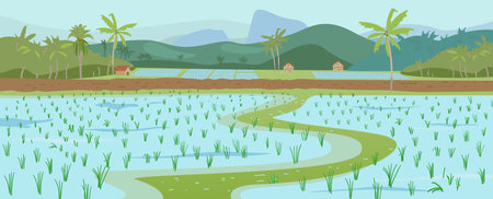 Rice fields scenery with no people vector illustration. Rice plantations. Landscape with paddy fields, palms, hills and huts.のイラスト素材