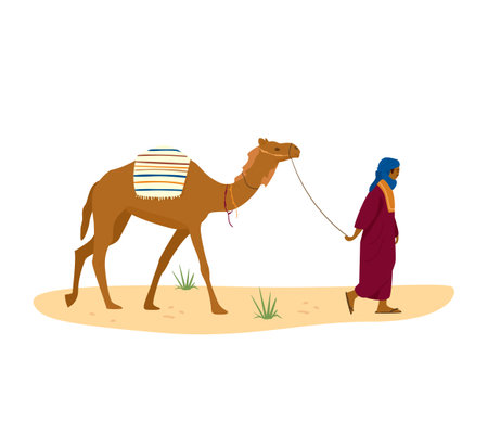 Bedouin leads his camel in desert. Arab character in traditional dress and turban. Flat vector illustration.のイラスト素材