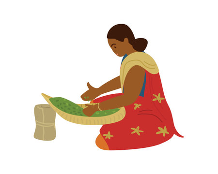 Vector Illustration Of Indian Woman Working Sorting Out Spices Or Tea. Traditional Agriculture, Manual Labor. Isolated On White.のイラスト素材