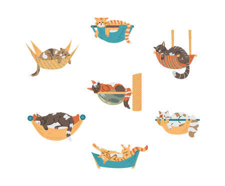 Vector set of different cute cats relaxing in hammocks. isolated on white.のイラスト素材