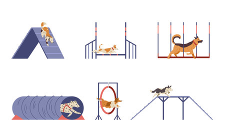 Different dogs on agility field flat vector set. Dogs passing different training obstacles. isolated.のイラスト素材