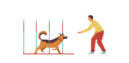 Man training his Shepherd Dog on agility field flat vector illustration. Dog runs slalom, owner gives him reward.のイラスト素材