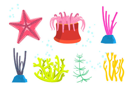 Vector set of underwater plants and animals. Starfish, anemones, corals, algae.のイラスト素材
