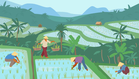 Terraced Asian Rice Fields In Mountains With Workers In Conical Straw Hats. traditional agriculture. vector illustration.のイラスト素材