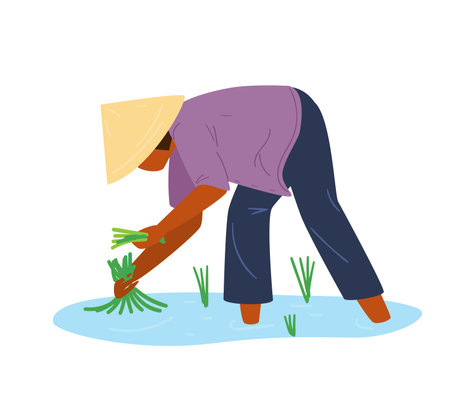 Asian Woman In Traditional Vietnamese Conical Straw Hat Working On Rice Field. Flat Vector Illustration.のイラスト素材
