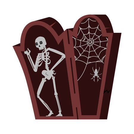 Skeleton in opened wooden coffin with spider and web Halloween vector illustration isolated on white.のイラスト素材