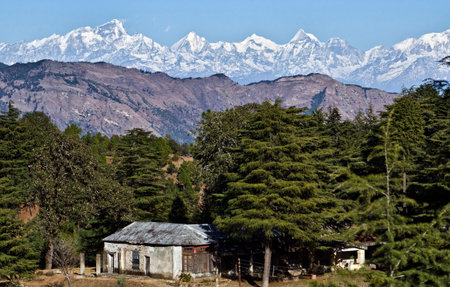 A Photo of Abbott mount with snow mountains in background situated in Lohaghat(District Champawat) of Kumaun, Uttarakhand(India)の写真素材